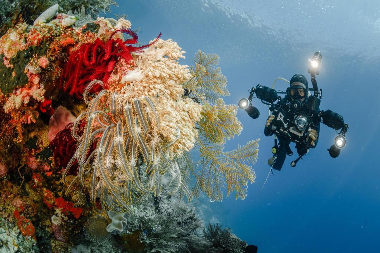 The Three P Beach Resort & Dive Center Agnay エクステリア 写真