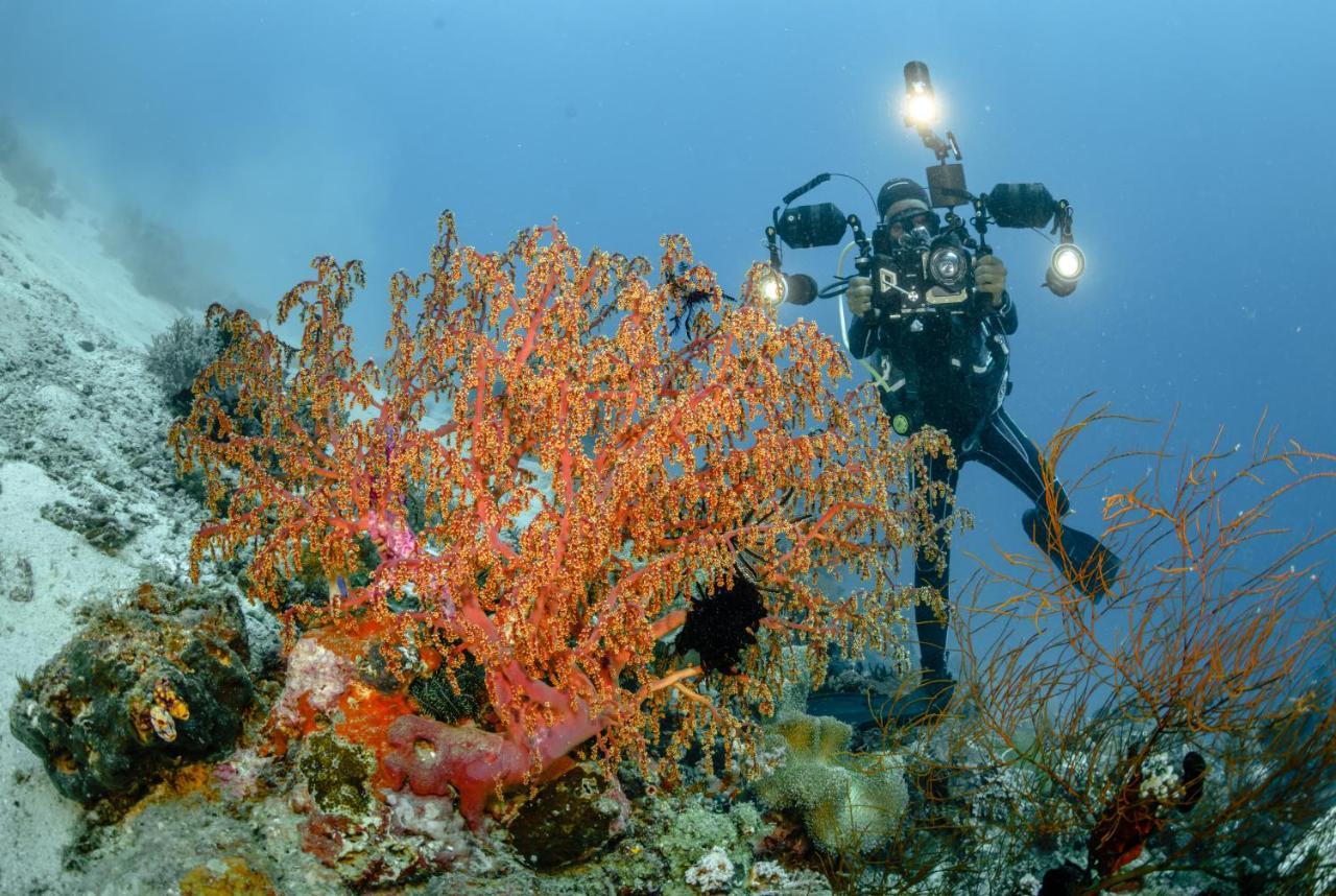 The Three P Beach Resort & Dive Center Agnay エクステリア 写真